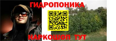 гашик Малгобек