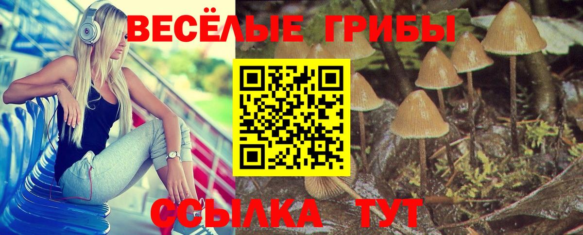 Горно-Алтайск  Псилоцибиновые грибы мухоморы  Вход с VPN 